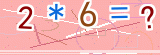 验证码