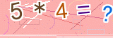 验证码