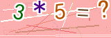 验证码