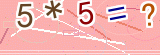 验证码